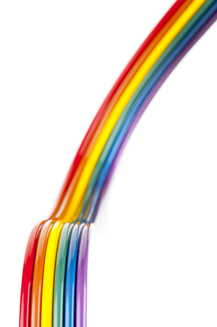 rainbow toned multi-conductor zip cord