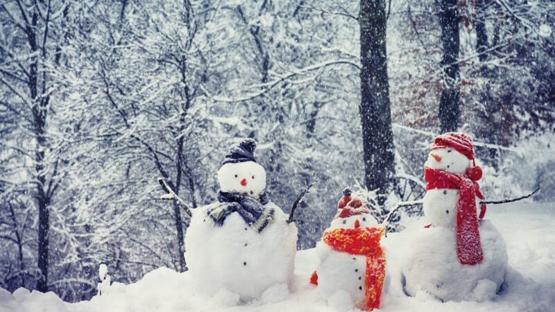 Group of snowmen with scarves and hats